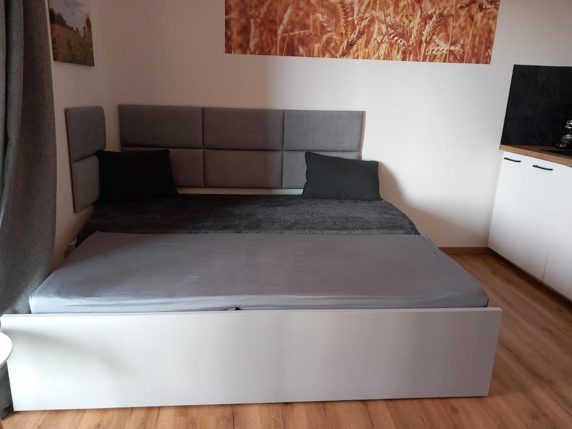 Ferienbauernhof Neumuehle Apartment Gappenach ภายนอก รูปภาพ
