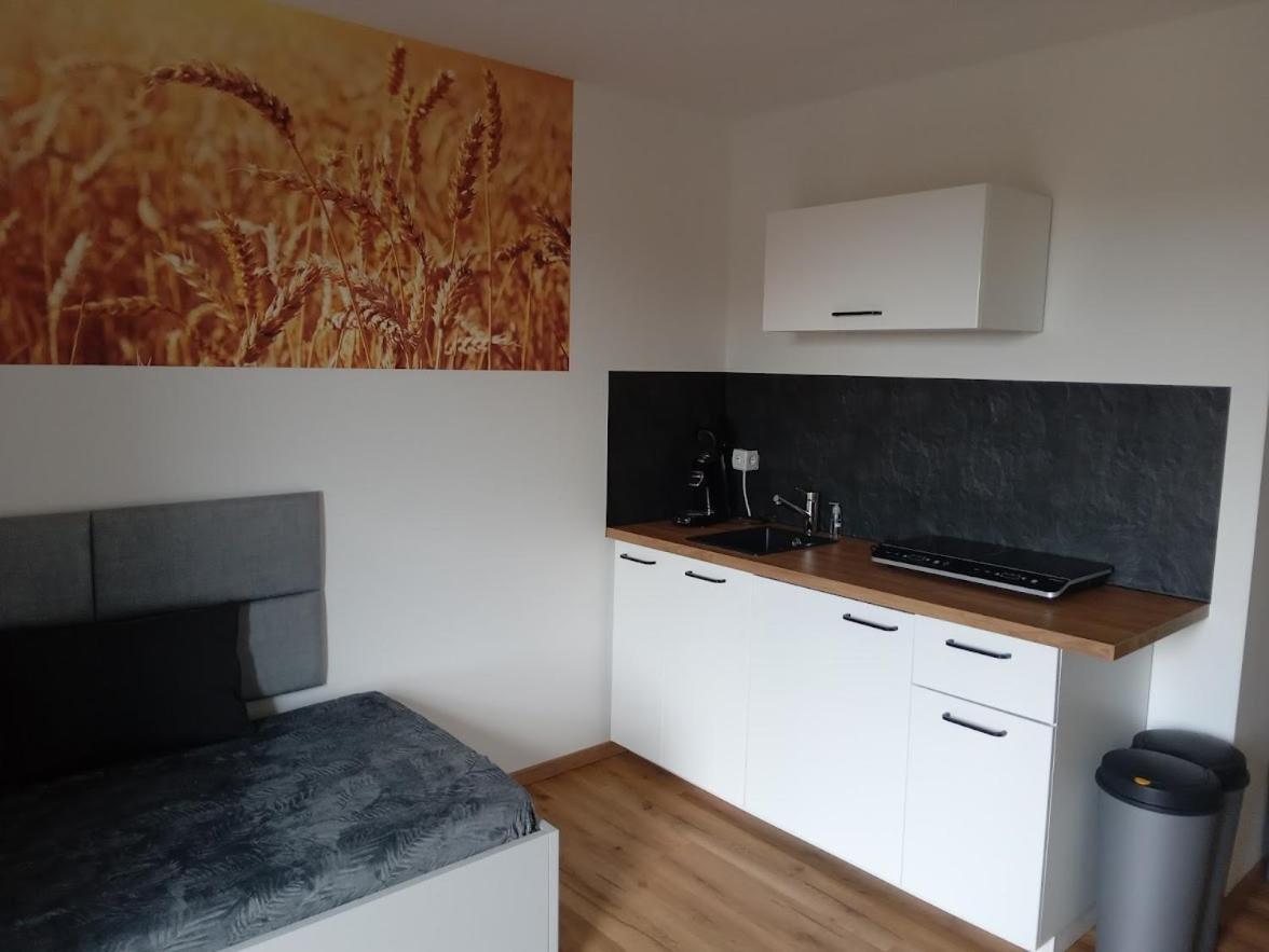 Ferienbauernhof Neumuehle Apartment Gappenach ภายนอก รูปภาพ