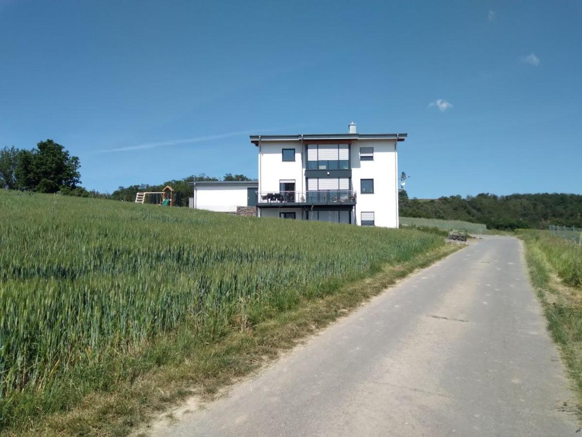 Ferienbauernhof Neumuehle Apartment Gappenach ภายนอก รูปภาพ